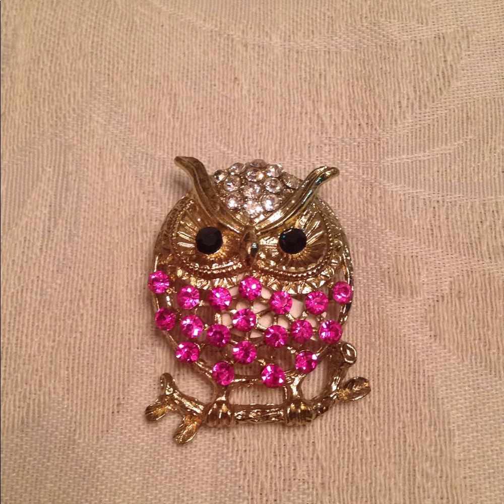 Owl pin